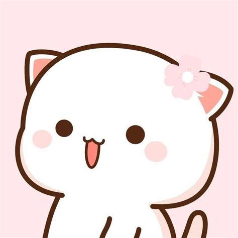 Cute Mochi Cats 💛 Cute Wallpapers Cute Anime Cat Cute Wallpapers