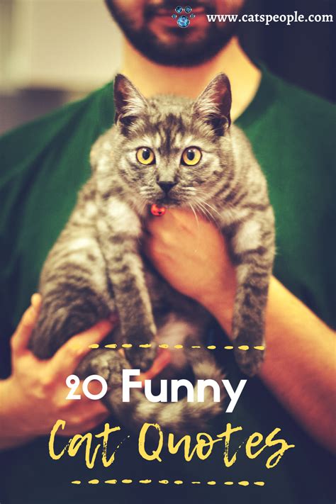 20 Funny Cat Quotes Cat Quotes Funny Cat Quotes Cat Training