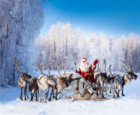 Are Santa S Reindeer Male Or Female Shop Discounts Save 50 Jlcatj Gob Mx