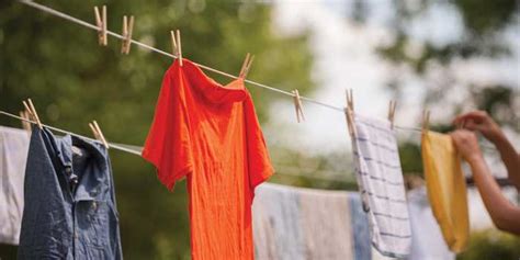 The Backyard Clothesline Our State