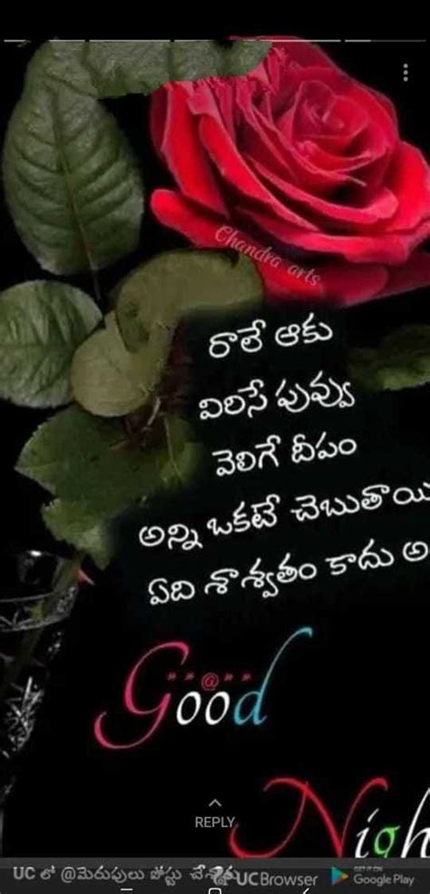 💞telugu love whatsapp status videos download Love Quotes In Telugu Images Download Share Chat - صور