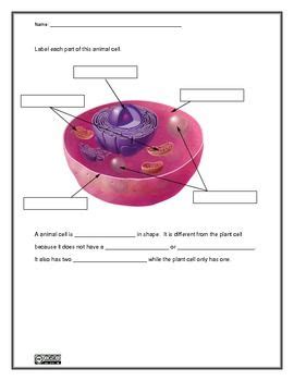 Identify the functions of ten major parts of animal cells. Animal cell, Worksheets and Plants on Pinterest