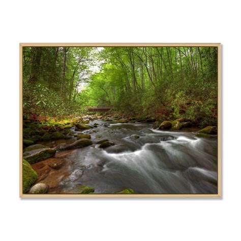Millwood Pines River In Green Summer Forest River In Green Summer