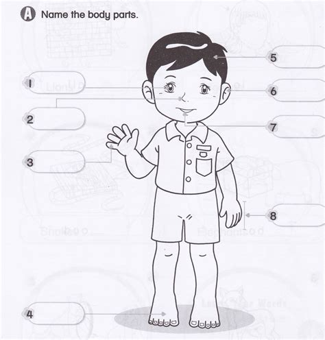 Grade 1 human body parts worksheet 2 kidschoolz. KSSR Year 1 English: Exercise