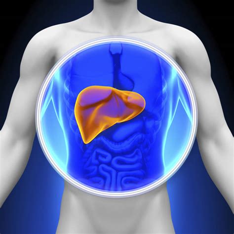 Take Good Care Of Your Liver