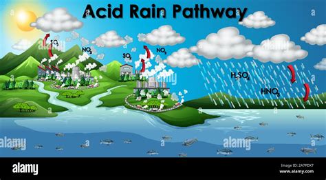 Diagram Showing Acid Rain Pathway Illustration Stock Vector Image And Art