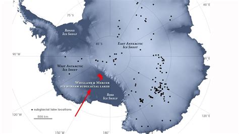 Tief Unter Dem Eis Der Antarktis Leben Mikroorganismen Welt
