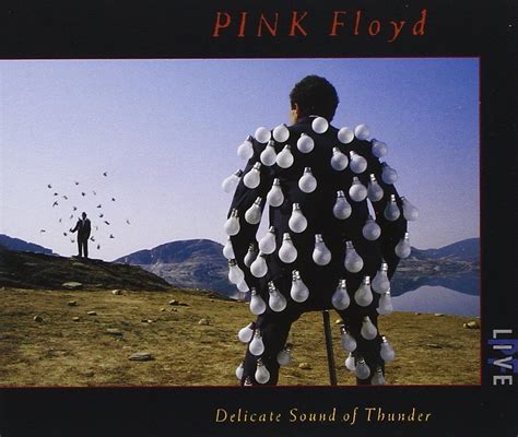 Pink Floyd Delicate Sound Of Thunder 1988 Pink Floyd Album Covers