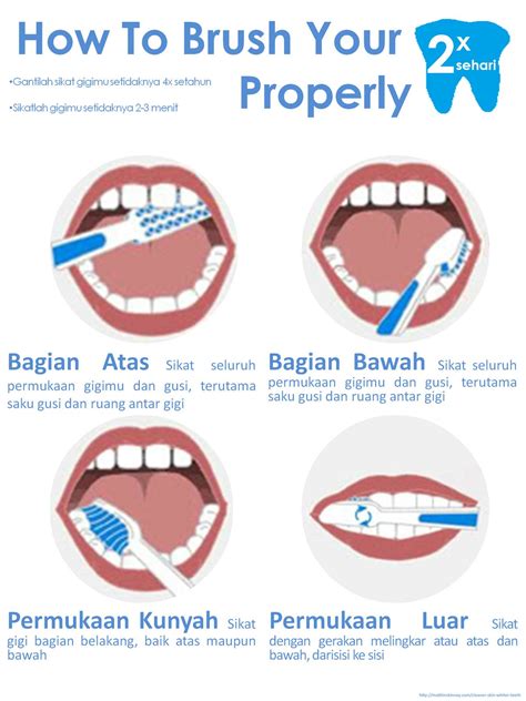 Pin On How To Brush Your Teeth Properly