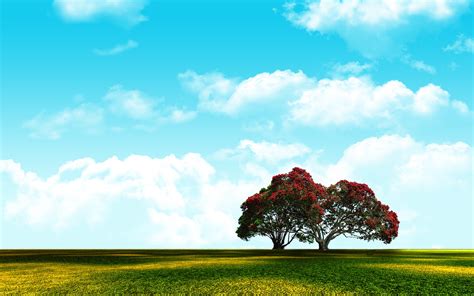 Sky Nature Landscape Adobe Photoshop Wallpapers Hd