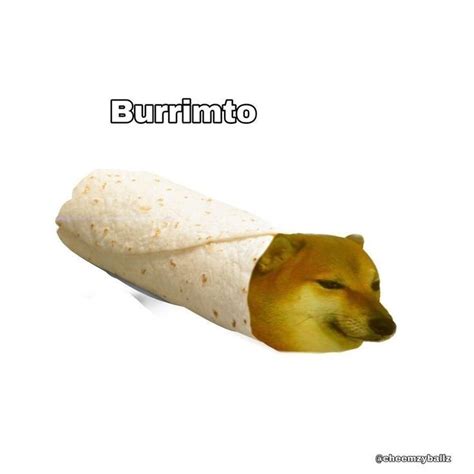 Dog Burrito 3 Memes Divertidos Memes Perrones Memes Graciosos
