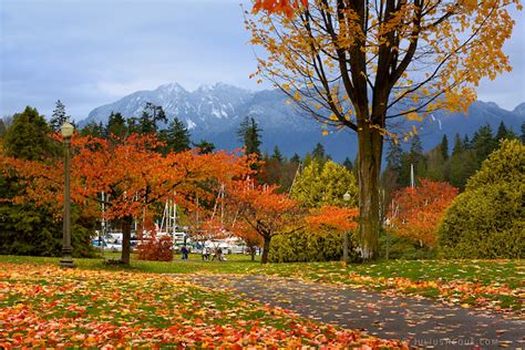 Photo Today In Vancouver When Autumn Leaves Start To Fa Flickr
