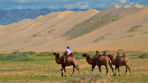 Circuit Mongolie Khangaï Et Désert De Gobi Aventure Nomade Evaneos