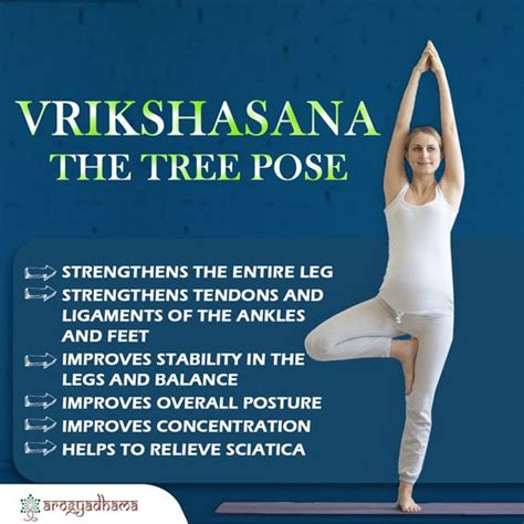 Yoga Tree Pose Benefits Gracefulness Blogs Photo Gallery