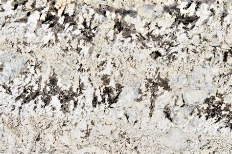 Buy New Alaska White Granite Slabs And Countertops In Dallas Tx Cosmos