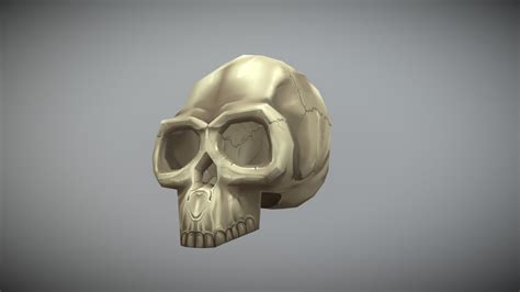 Skull Stylized Buy Royalty Free 3d Model By Kkrasowski 71e5bc7