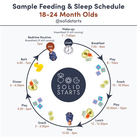 Feeding & Sleep Schedules for Babies & Toddlers in 2021 | Baby feeding ...
