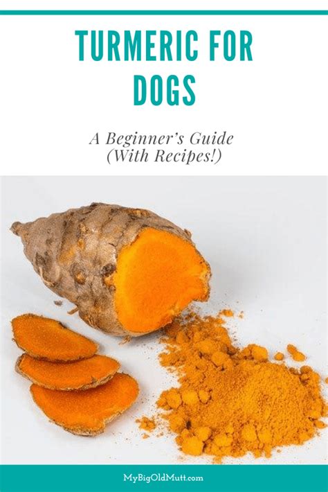 Turmeric For Dogs A Beginners Guide With Recipes My Big Old Mutt