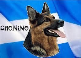 Este martes 2 de junio se celebra en argentina el día nacional del perro y la fecha fue elegida en honor a chonino, un ovejero alemán nacido en 1975 y que en diciembre de 1977 ingresó a la fuerza de la. universo: Día Nacional del Perro-FM Universo 94.3-Ctes ...