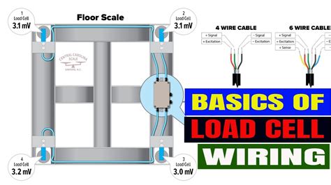 The Basics Of Load Cell Wiring And Adjusting Individual Scale Loadcells