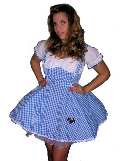 Sexy Dorothy Costume