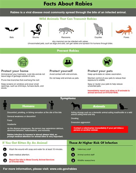 Illness & Injury | Mesa County Public Health