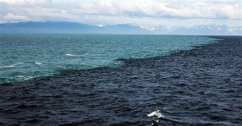 Gulf Of Alaska Where Two Oceans Meet But Never Mix Album On Imgur