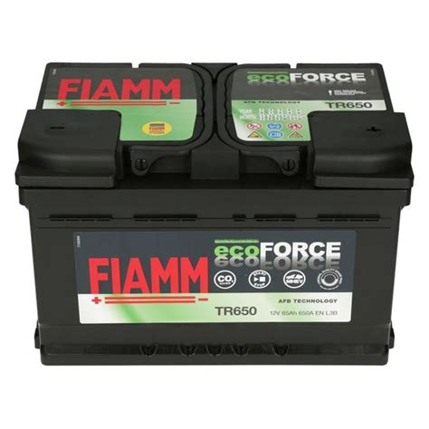 Fiamm Eco Force 12v 65ah 650aen Autobatterien Batcarde Shop Agm