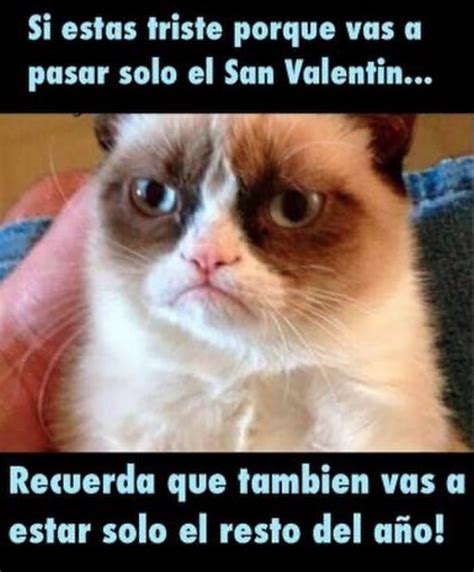 Los Diez Memes Mas Divertidos Para Felicitar San Valentin En Whatsapp