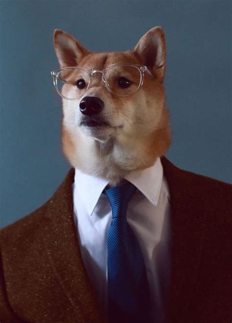 Bodhi Menswear Dog On Instagram Menswear Dog To Release New Book