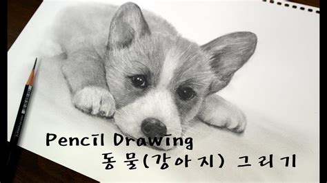 40분 연필그림 동물강아지그리기 Drawing Animalhow To Draw A Dog 개 드로잉 오늘 업데이트