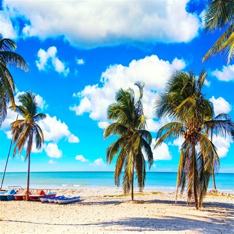The Tropical Beach Of Varadero In Cuba With Sailboats And Palm Trees On