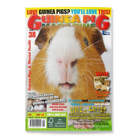 Issue 38 Print Only Guinea Pig Magazine