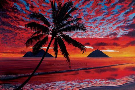 Hawaii Art Paintings Thomas Deir Honolulu Hi Artist