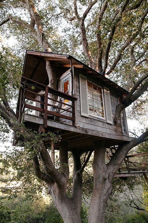 25 awesome tree interior design ideas to apply asap tree house diy beautiful tree houses