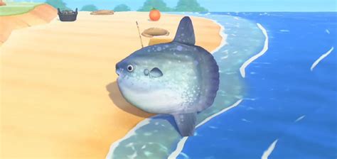Animal Crossing New Horizons Rare Fish Guide Prima Games