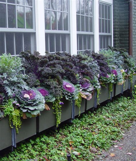 Container Gardening In Cold Climates