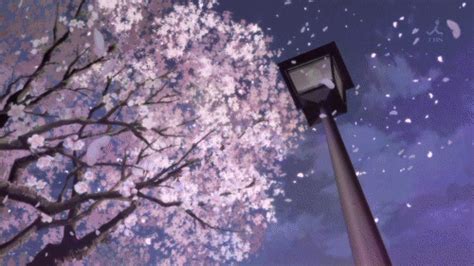 Cherry Blossoms 80s  Find And Share On Giphy
