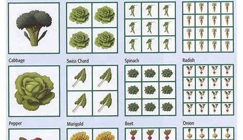 vegetable garden spacing chart