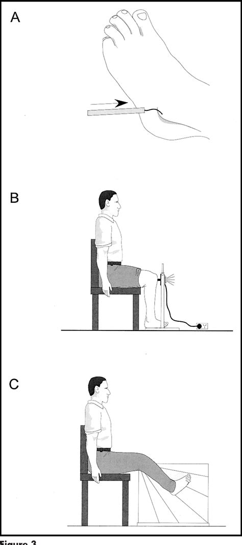 Pdf A Physiological Profile Approach To Falls Risk Assessment And