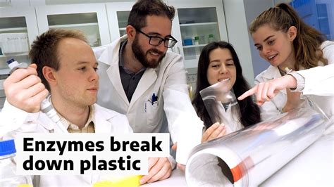Enzymes From Bacteria And Fungi Break Down Plastic Youtube