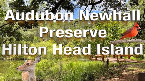 Audubon Newhall Preserve On Hilton Head Island Youtube