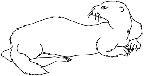 Otter 2 Animals Printable Coloring Pages