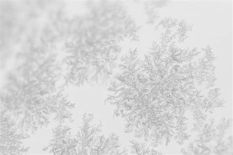 Closeup Of Snow Or Ice Crystals Stock Photo Image Of Nature Macro