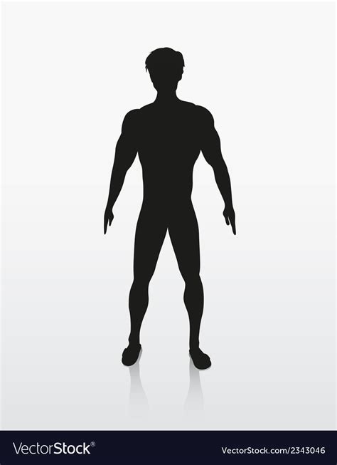 Silhouette Of The Human Body Royalty Free Vector Image