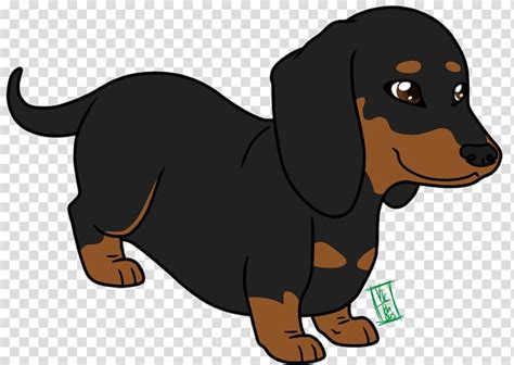 Dachshund Puppy Cartoon Animation Cute Dog Transparent Background Png