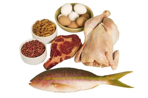 Proteína Confira Os 10 Alimentos Ricos Em Proteínas E Seus Benefícios