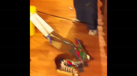 Our Rube Goldberg Project Fails Youtube