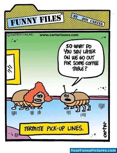 funny termite jokes humor termites funny quotes jokes