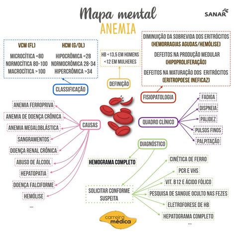 Mapa Conceptual Hematologico Patologias Hematologica Anemia Leucemia